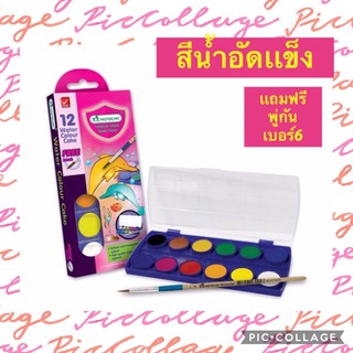 สีนำ้ อัดเเข็ง ยี่ห้อ มาสเตอร์อาร์ต เเถมฟรี พู่กันเบอร 6