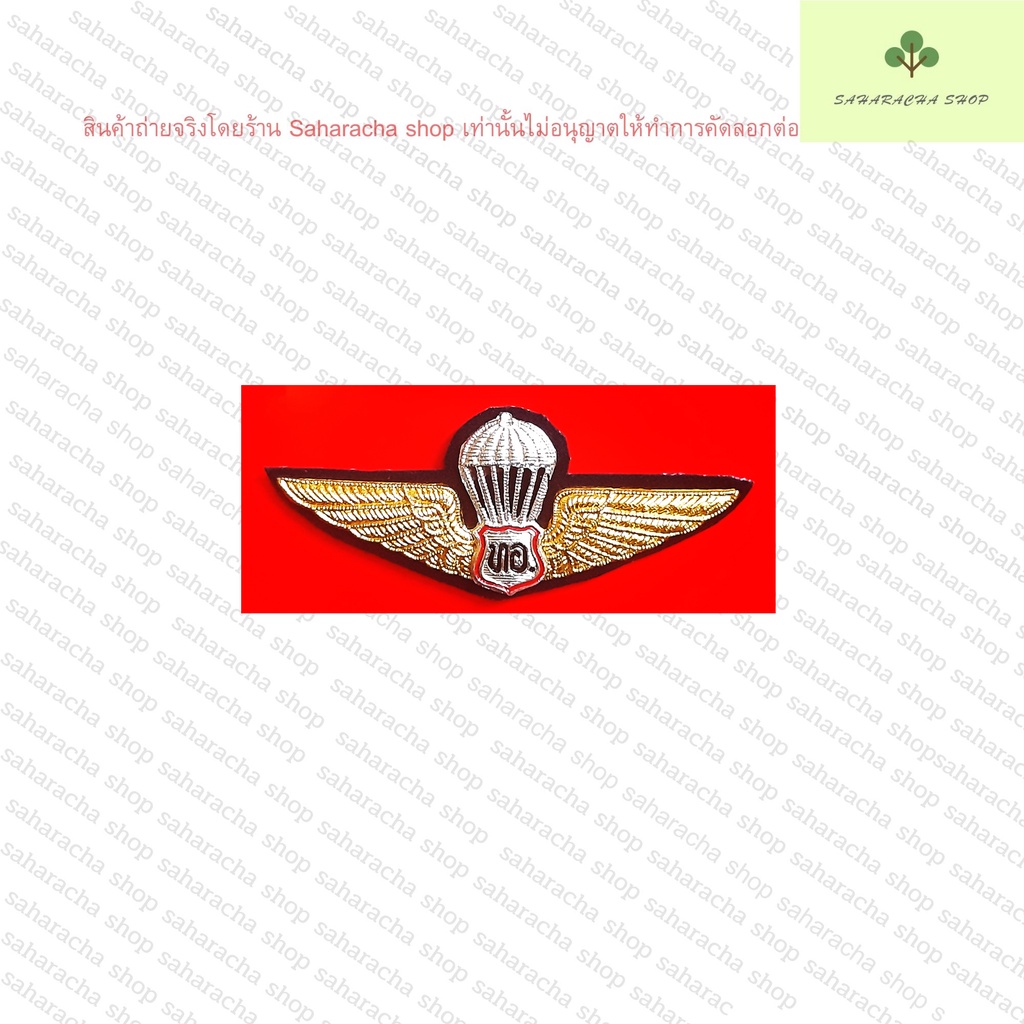 ปีกเหินเวหา  ปีกกระโดดหอรูปธง ปีกกระโดดหอตัวหนังสือทอ. เครื่องหมายโลหะ  แบบเข็มหมุด - รูปที่ 3