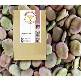 ถั่วปากอ้า แบบดิบ Dried fava beans raw Dried broad beans favabean broadbean