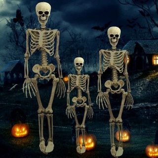 โครงกระดูก ขนาด 40cm / 90cm / 165cm ผี โครงกระดูกปลอม ของตกแต่งฮาโลวีน ฮาโลวีน Horror Fake Skeleton Halloween Decoration