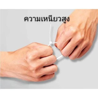 เคเบิ้ลไทร์ สายรัด หนวดกุ้ง​ 3มม.X​ 200มม. 8 นิ้ว 500เส้น แบบหนา ขาว/ดำเลือกได้