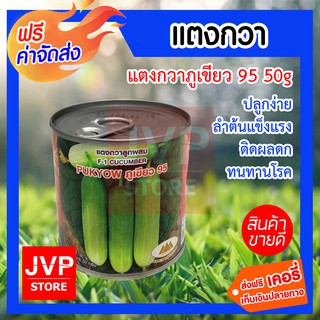 **ส่งฟรี**เมล็ดแตงกวาภูเขียว95 50g. ตราภูเขาทอง ปลูกง่าย ลำต้นแข็งแรง ติดผลดก ทนทานต่อโรค ผลผลิตสูง