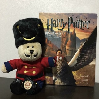 Harry Potter Pop up book