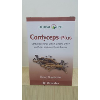 CORDYCEPS-PLUS (herbalone) ตังถั่งเฉ้า-พลัส