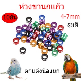 ราคาถูกสุด 10ชิ้น 4/5/6/7 มม ห่วงขานก ห่วงขานกแก้ว ห่วงขานก ห่วงเปิดคล้องขานก ทำจากอลูมิดนียมน้ำหนักเบา สุ่มสี