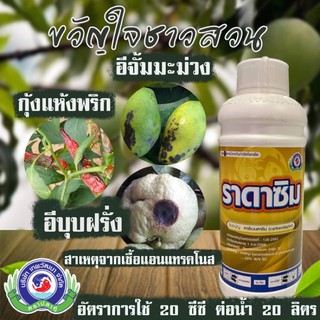 ราดาซิม คาร์เบนดาซิม 50% สารป้องกันเชื้อราชนิดดูดซึม ยาเย็น ป้องกันแอนแทรคโนส จมูกดำ ใบจุด ใบปื้นเหลือง เทพวัฒนา