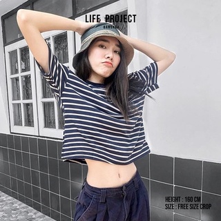[LIFEPROJECTBKK] Striped crop top - F เสื้อครอปลายทาง ผ้านุ่ม ใส่สบาย ทรงสวย