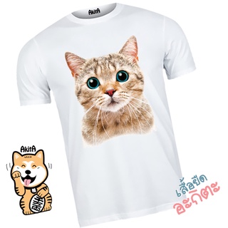 เสื้อยืดลายแมวส้ม Orang cat T-shirt