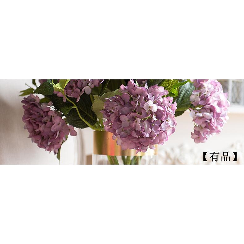 My Image 22