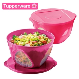 Tupperware รุ่น Outdoor Dining Bowl (2) 4.3L