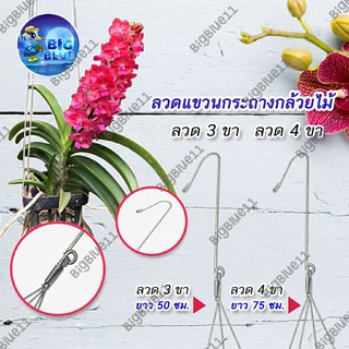 โคตรถูก !! BIGBLUE ลวดแขวนกระถาง ลวดแขวนต้นไม้  แบบ 3 ขา แบบ 4 ขา  (10 ชิ้น )