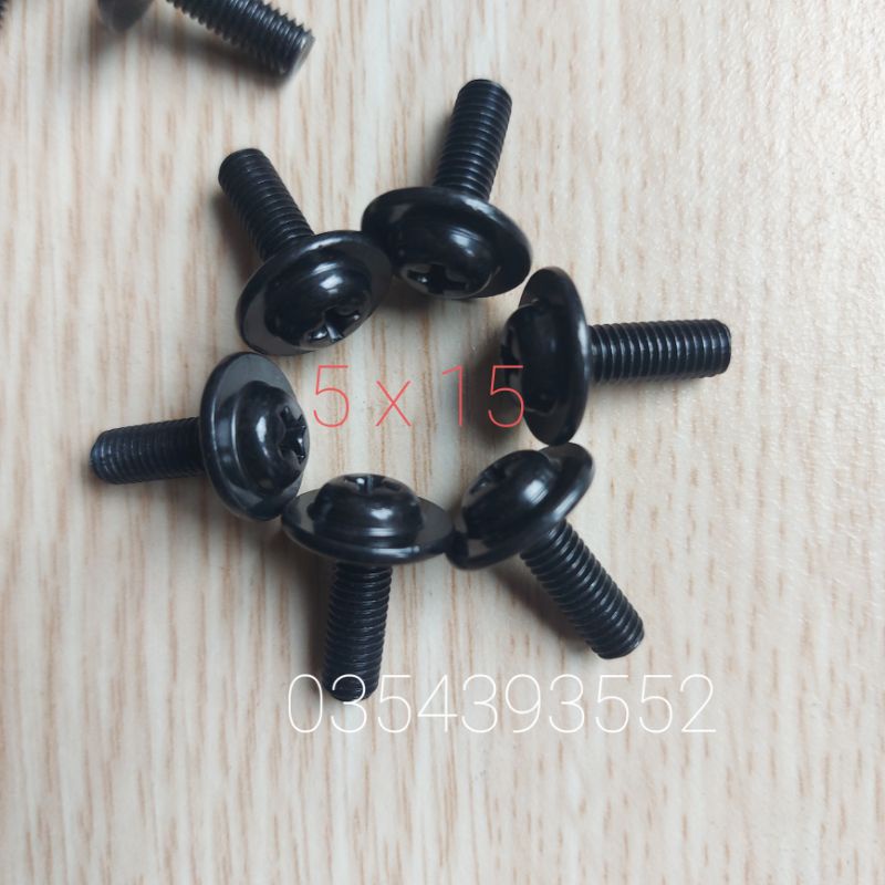 หอยทาก 5 x 15 oczin_store