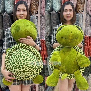 (พร้อมส่ง)ตุ๊กตา เต่าแซมมี่ Sammy ขนาด 75 cm เต่า ตัวใหญ่