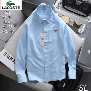 shirt long sleeve  lacoste