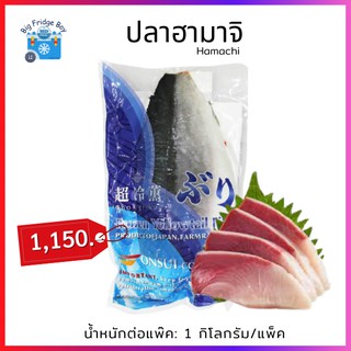 ปลาฮามาจิแล่ (Hamachi) 1 กิโลกรัมต่อแพ็ค ทานแบบซาชิมิอร่อยมากก Big Fridge Boy