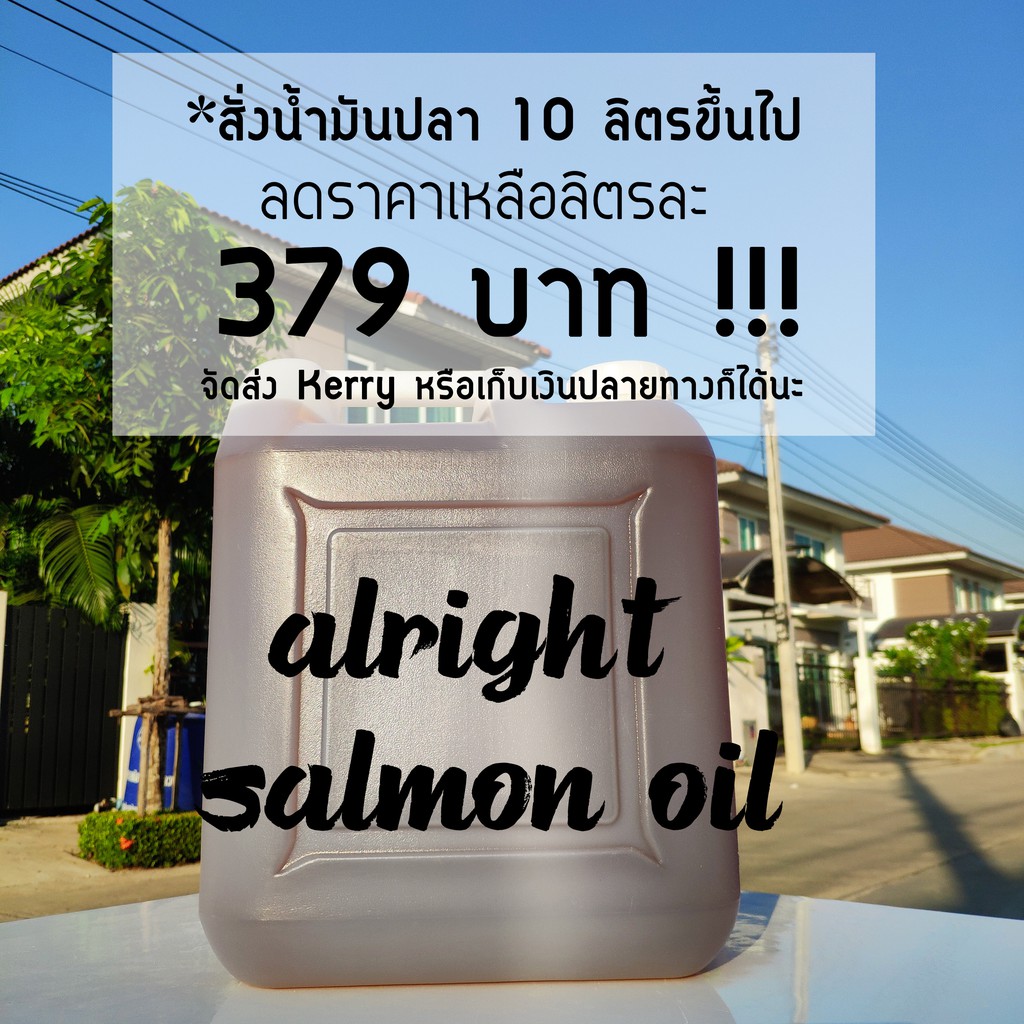 น้ำมันปลาแซลมอนแท้สำหรับสัตว์เลี้ยง 100% (บำรุงขน ผิว) ส่งเสริมสุขภาพสุนัข/แมว