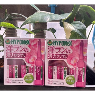 ปุ๋ยปัก ปุ๋ยน้ำ 1 กล่อง HYPONEX AMPOEL ไฮโพเนกซ์ แอมเพิล (สีชมพู) ปุ๋ยน้ำปักกระถาง เสริมสร้างการแตกตาดอก บำรุงดอก เร่งสี