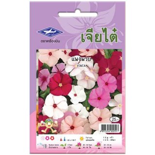 VINCA CHIA TAI SEED เมล็ดพันธุ์ แพงพวย เมล็ดพันธุ์ ปุ๋ยและเมล็ดพันธุ์ สวนและอุปกรณ์ตกแต่ง VINCA CHIA TAI SEED