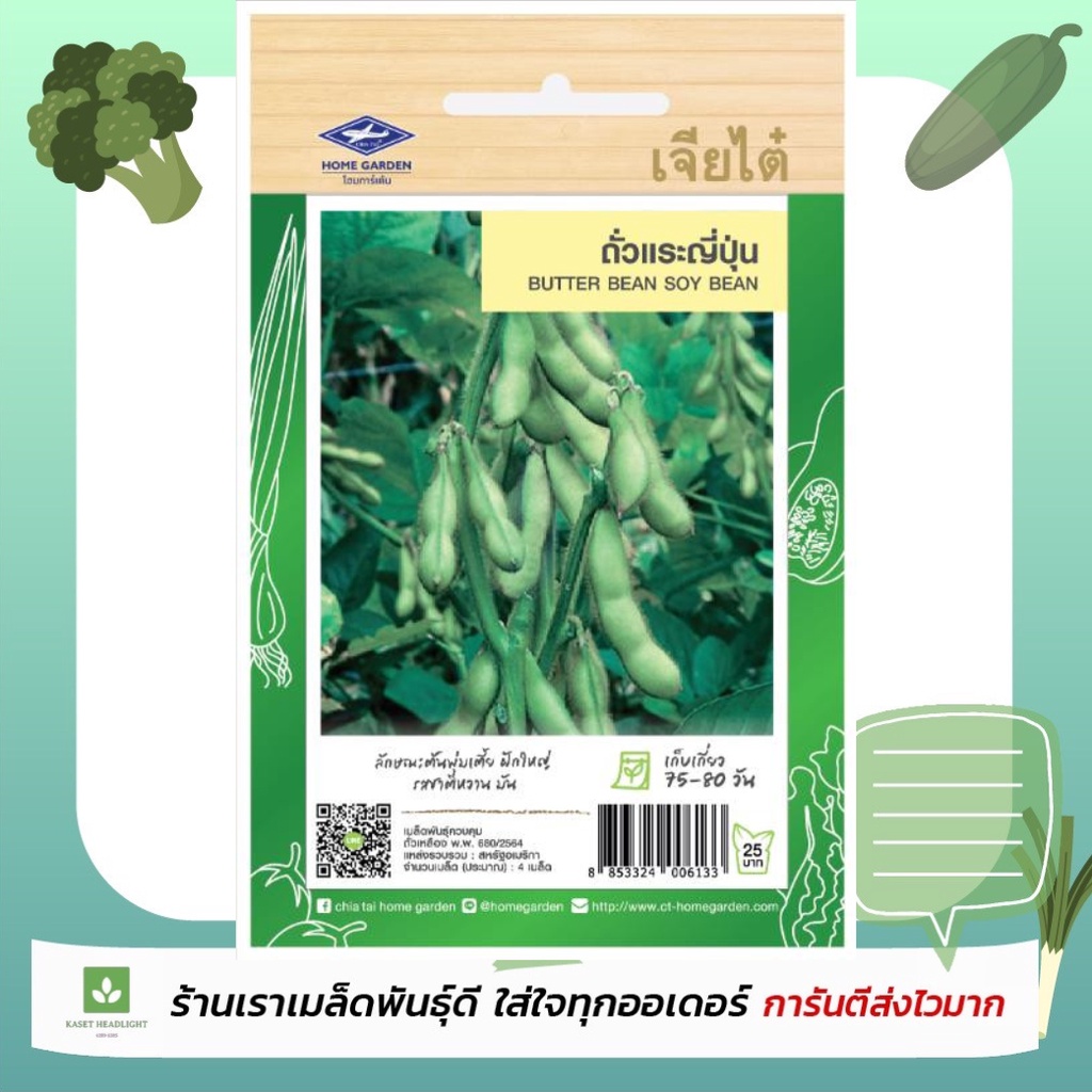 ถั่วแระญี่ปุ่น Edamame เจียไต๋ ถั่วแระ เมล็ดพันธุ์ถั่วแระ ถั่วญี่ปุ่น 15เมล็ด