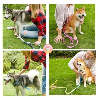 พร้อมส่งจากไทย ปลอกคอสุนัข QQPETSรุ่นพรีเมี่ยม ไล่โทนสี สวยมาก C005