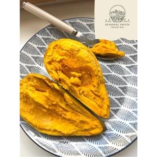 [🔥พร้อมส่ง🔥] Canistel fruits เซียนท้อ ม่อนไข่ พันธุ์พื้นเมือง เจ้าของสวนขายเอง มีหลายขนาด