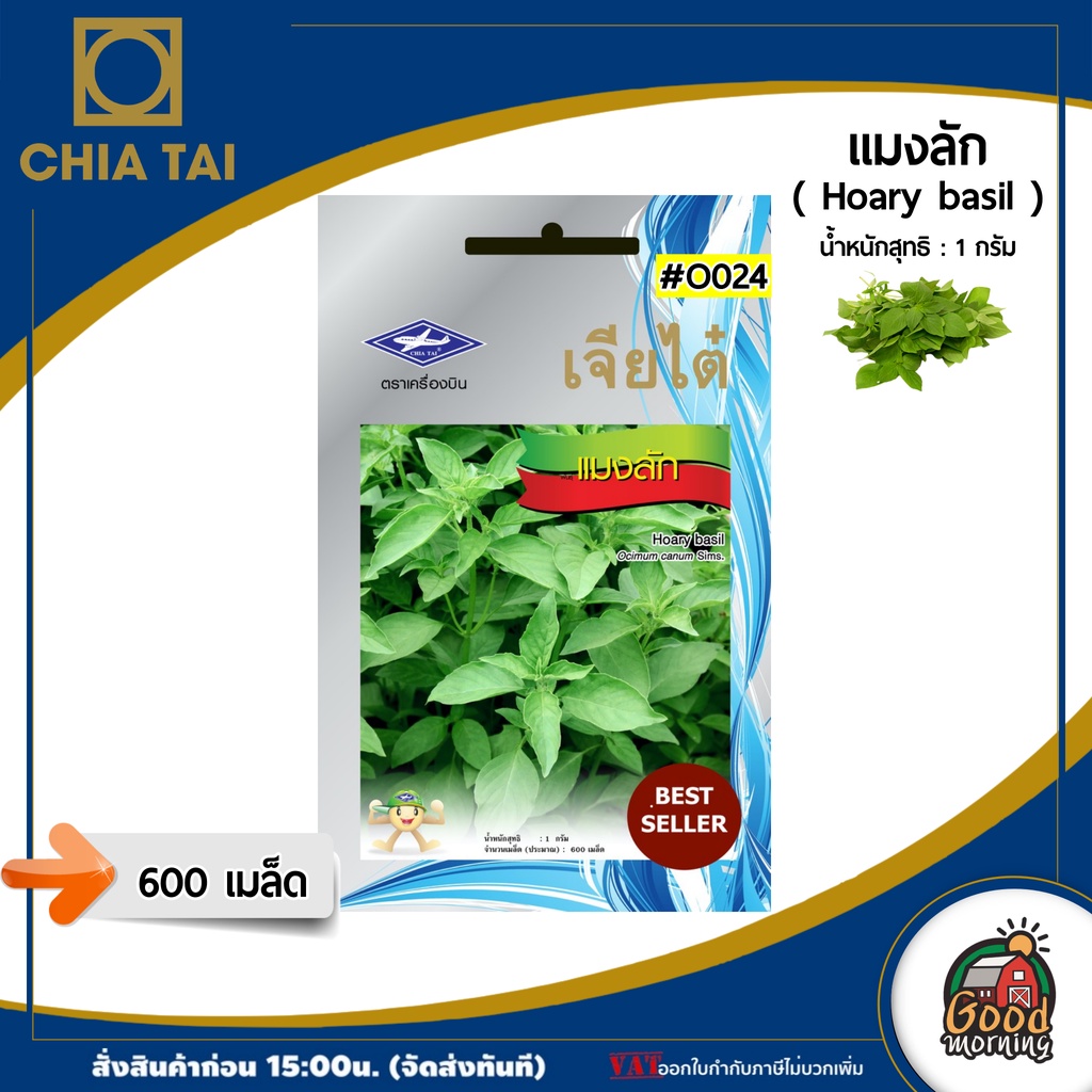 CHIATAI ผักซอง เจียไต๋ O024#แมงลัก เมล็ดพันธุ์ เมล็ดพันธุ์ผัก ผักสวนครัว ผักเจียไต๋ Chia Tai ตราเครื่องบิน