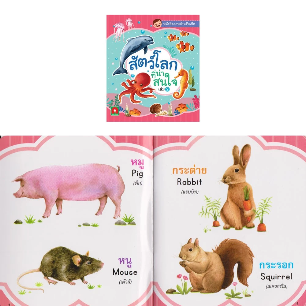 Aksara for kids หนังสือ คำศัพท์ สัตว์ ผัก ผลไม้ (แยกเล่ม) thumbnail 6