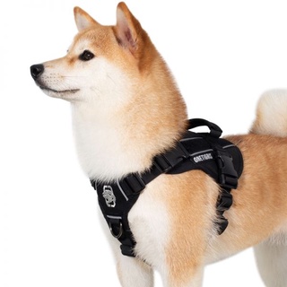 ชุดรัดอกสุนัข OneTigris CHIPPER K9 Harness (DG-GBX23A)