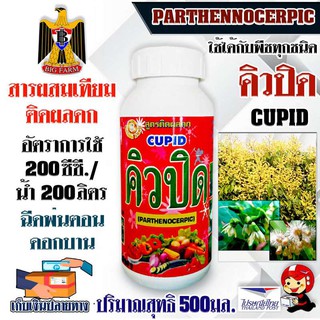 CUPID คิวปิด สารผสมเทียม Parthenocerpic สูตรติดผลดกขนาด 500 มิลลิลิตร