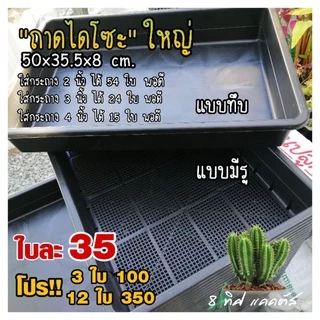 ##++ ถาดไดโซะ ใหญ่ // 35.5x50x8 cm // ทึบ ตัน ถาดมีรู ถาดเพาะ ต้นอ่อน +5