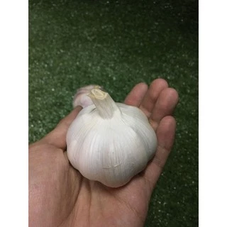 กระเทียมสดหัว/ปอก/กลีบ 🧄 - กระเทียมนอก กะเทียม ผักผลไม้สด