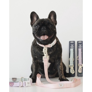 GENTLE PUP Dog Leash สายจูงสนัข สายจูงหมา สายจูงสัตว์เลี้ยง แบรนด์นำเข้าจากประเทศสิงคโปร์