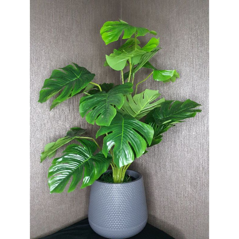 ต้นไม้ปลอม ราคาถูก รวมกระถาง ต้นมอนสเตอร่า Monstera มอนสเ ...