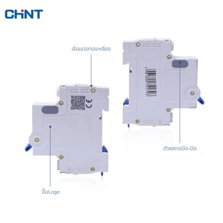 CHINT เบรกเกอร์ 6kA Type D เบรกเกอร์ลูกย่อย เบรคเกอร์กันไฟเกิน ใช้ควบคุมไฟฟ้า 10A-63A รุ่น NXB 220V 6kA