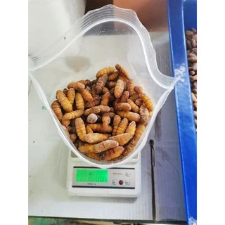 ดักแด้1kgกับจิ้งหรีดไข่1kg​ฟรีค่าลังโฟมครับ​
