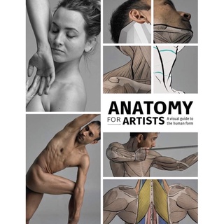 Anatomy for Artists : A Visual Guide to the Human Form