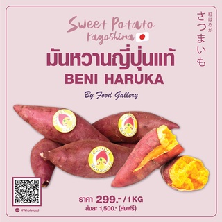 มันหวาน "Beni Haruka" จากญี่ปุ่น หวาน หอม นุ่ม ละมุนลิ้น