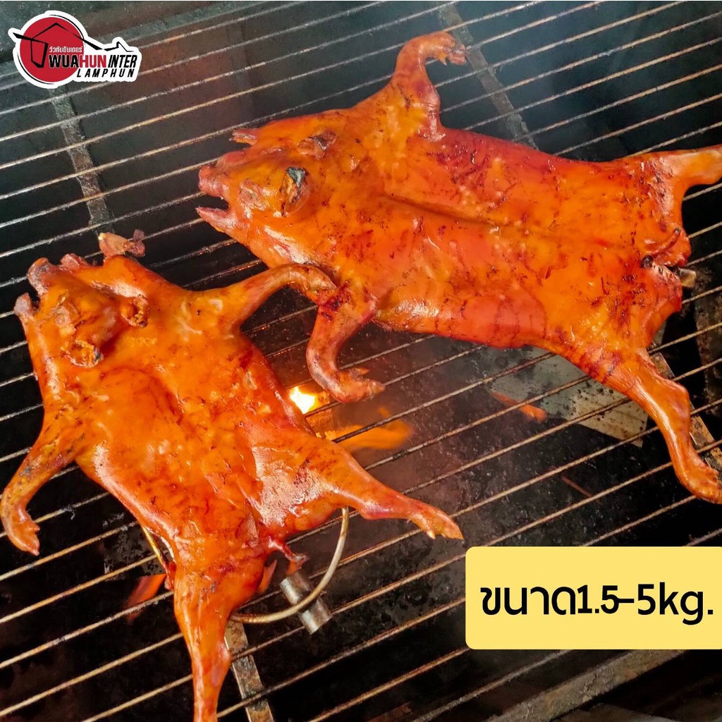 หมูหัน หมูย่าง ทั้งตัว ขนาด 1.5-5kg. พร้อมน้ำจิ้ม จากร้านวัวหันอินเตอร์ ลำพูน เจ้าดัง