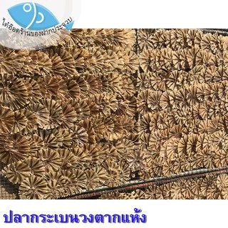 ไต๋ฮ๊อด ปลากระเบนวง 1แพ็ค 100กรัม ปลากระเบน กระเบนวง ปลากระเบนตากแห้ง อาหารทะเลแห้ง อาหารทะเลแปรรูป