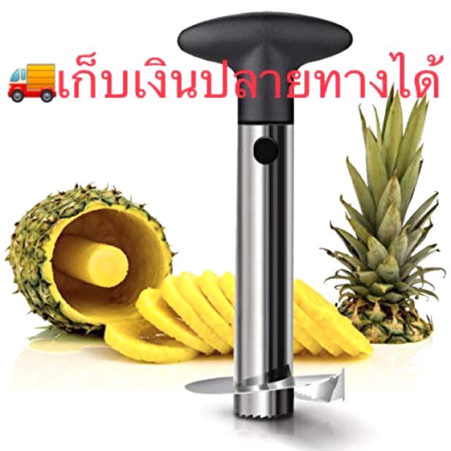 My Image 21