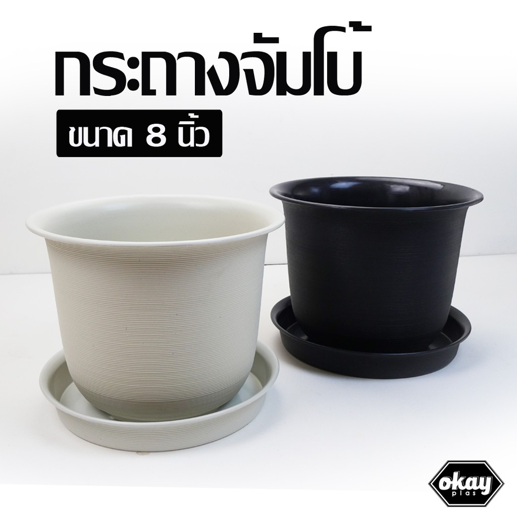 Okay plas กระถางจัมโบ้ ขนาด 8 นิ้ว พร้อมจานรอง
