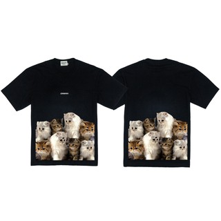 GMT173-1 CAT BLACK เสื้อยืดแมว