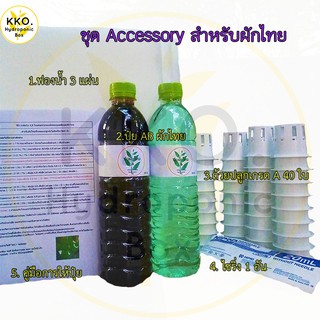 ชุดปุ๋ยAB ผักไทย ชุด Accessory 2 ( สำหรับผักไทย ) อุปกรณ์ปลูกผักไฮโดรโปนิกส์