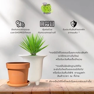 กระถางดินเผา กระถางแคตตัส เนื้อกระถางละเอียด เนียนสวยงามขนาด2.5”