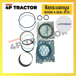 ชุดซ่อม ชุดซีลปากกระบอกบูม BOOM-A ORING / SEAL KIT รถแบคโฮ  HYUNDAI