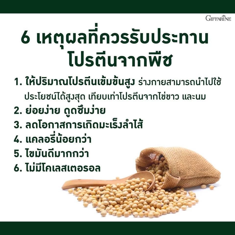 โปรตีนพืช โปรตีนกิฟฟารีน วีแกน มัลติ แพลนท์ โปรตีน กิฟฟารีน Vegan Multi Plant Protein Giffarine เวย์โปรตีน thumbnail 3
