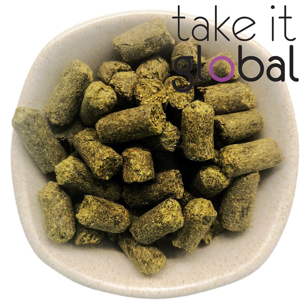 Magnum Hop Pellets รองเท้าแตะลําลอง马格门酒 - การต้มเบียร์/สารขม/บีร์โคลง