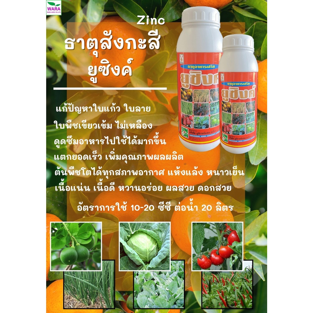 ธาตุสังกะสี ยูซิงค์ สูตรครีม เร่งใบเขียวเข้ม ป้องกันโรคใบแก้ว ใบเหลือง พืชทนแล้ง ทนฝน ทนหนาว เติบโตดี