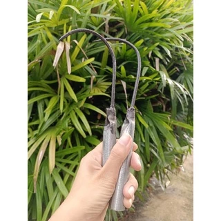 ตะขอเก็บขี้ยางด้ามเหล็ก และด้ามไม้ และด้ามสแตนเลส มีให้เลือก สำหรัดบเกาะขี้ยางหรือเกี่ยวสิ่งของต่างๆ จำนวน 1 ด้าม