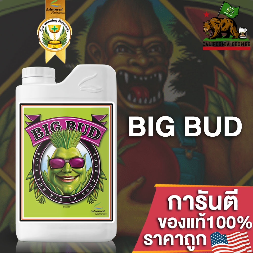 Big Bud ปุ๋ยAdvanced Nutrients ปุ๋ยเร่งดอกใหญ่ เพิ่มน้ำหนักดอกและผลผลิต ขนาด 50/100/250ml ปุ๋ยนอก ของแท้100% ปุ๋ยUSA